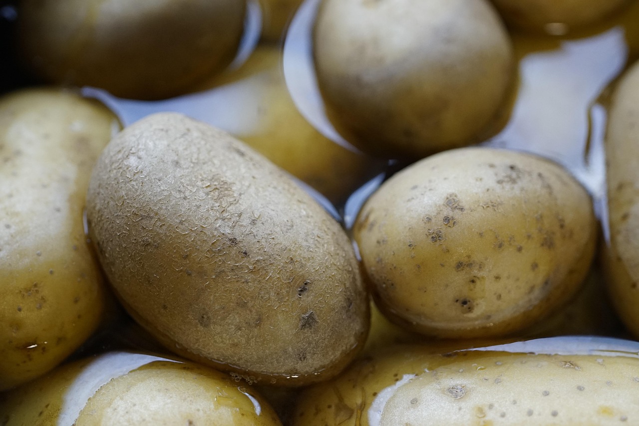 entdecken sie schnelle und gesunde rezepte für jeden tag! mit unseren einfachen tipps gelingt ihnen gesundes kochen in kurzer zeit – ideal für berufstätige und familien.