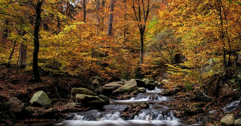 Green Hell Harz Rezepte und Knochen Rezepte: die unterschätzten Materialien