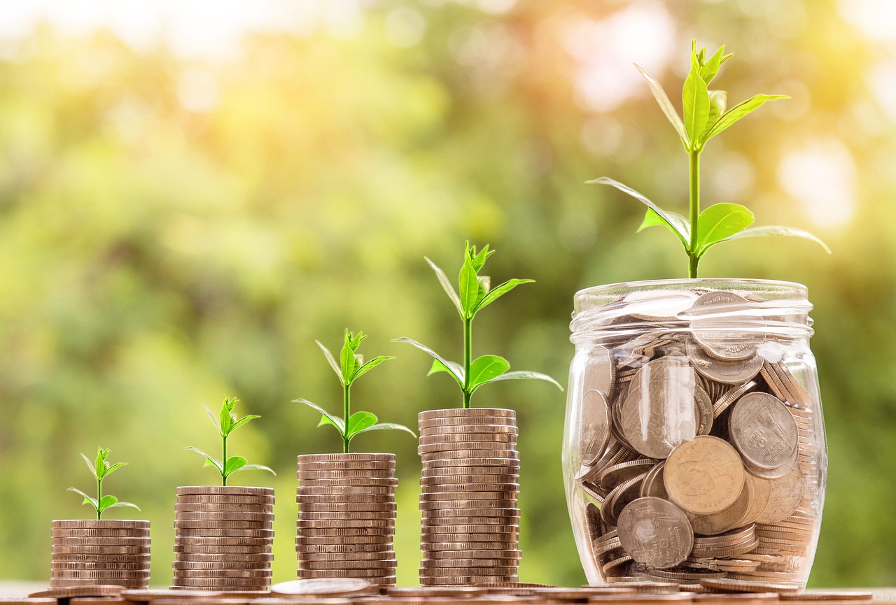 Welche Investmentstrategie nutzen nur Zentralbanken?