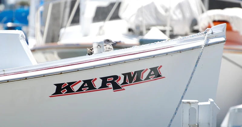 Karma-Sprüche böse: Warum sie funktionieren und trotzdem nichts lösen