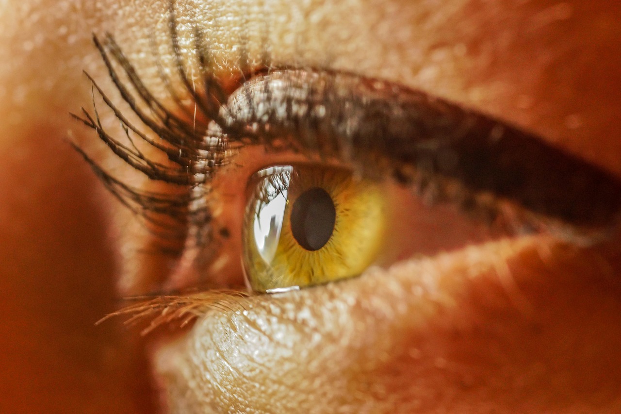 entdecken sie die perfekte augenbrauenform für ihr gesicht. tipps zur gestaltung und pflege ihrer augenbrauen, um ihre natürliche schönheit zu betonen.